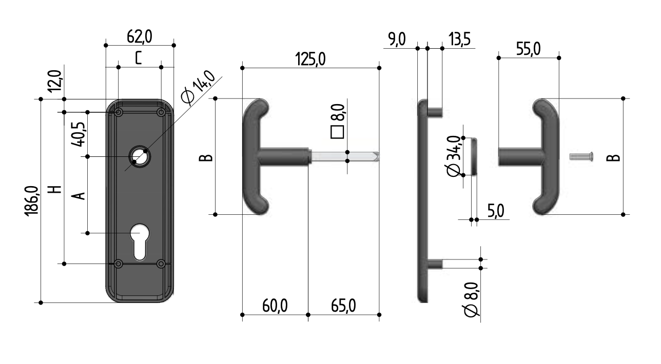 MANIGLIA CON PLACCA PREFER 0433.0800.0000