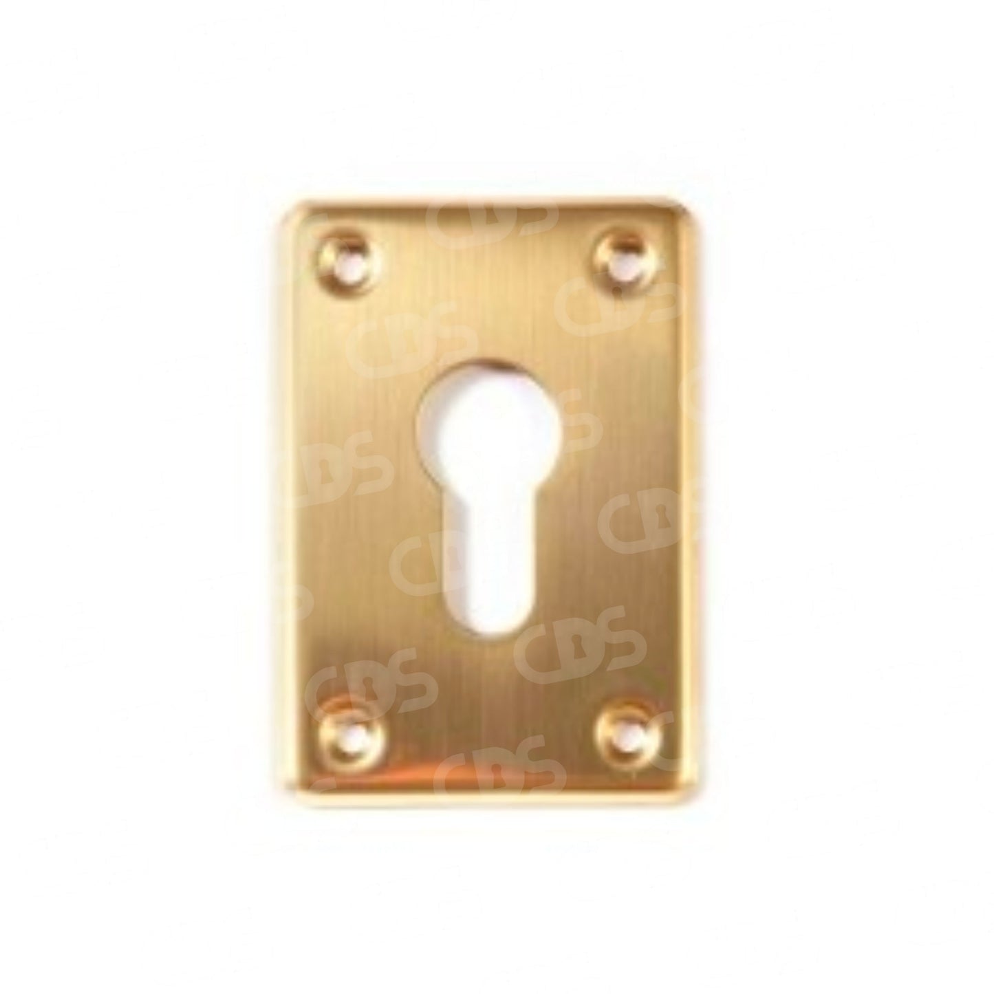 BORCHIA IN OTTONE CISA PER CILINDRO EUROPEO 06043.00.0