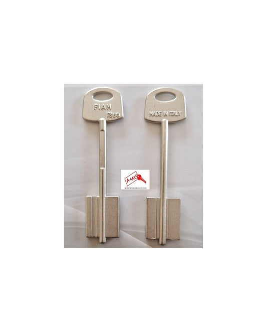 COPPIA GUIDA CHIAVE IN NYLON ISEO 990808