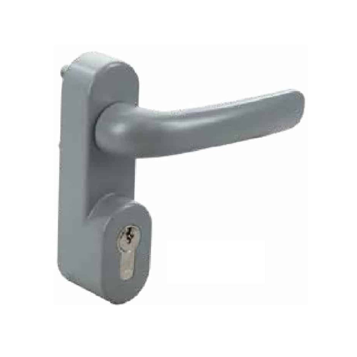 Maniglia con Cilindro Grigio RAL 9006 per Antipanico 1090/G6