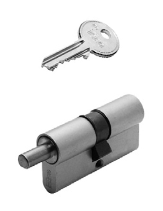 CILINDRO SAGOMATO CON CODOLO F5 A CHIAVE VERTICALE ISEO 8269