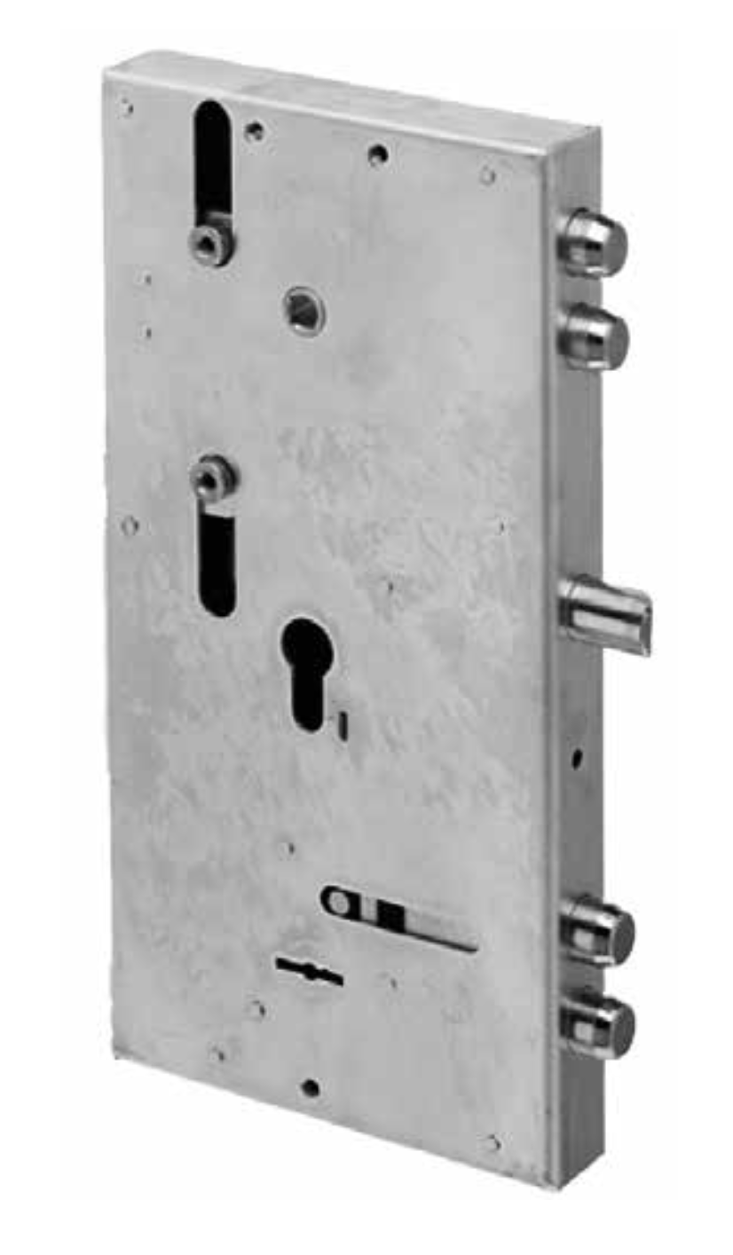 SERRATURA PER PORTA CARROZZATA FERBONA YALE 133Y8 E 133Y9