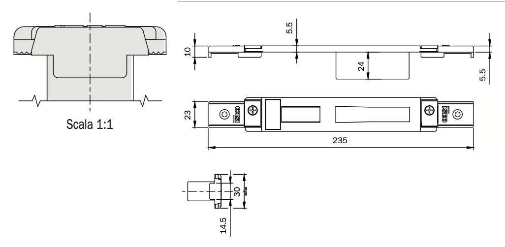 CONTROPIASTRA ISEO 386021